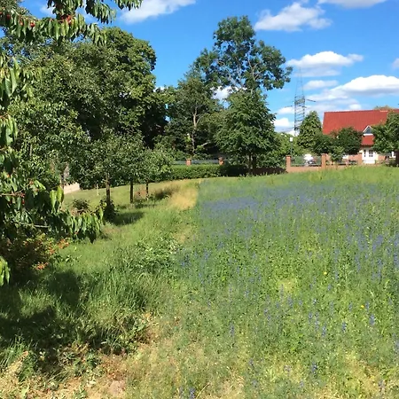 Gut Hotel 3*